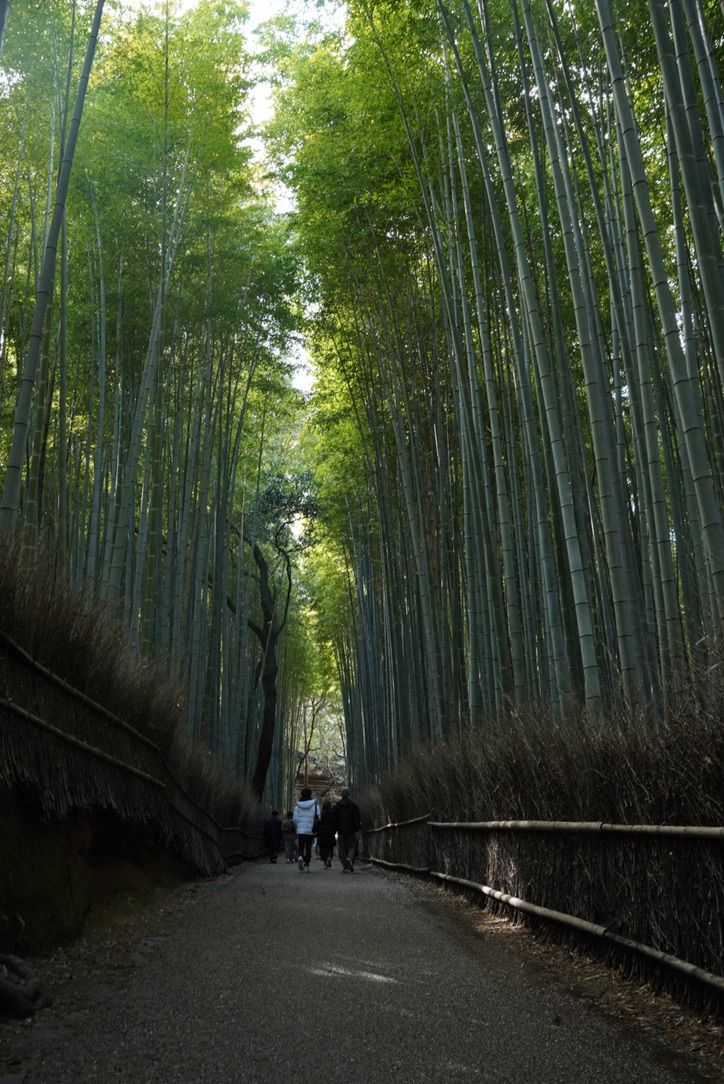旅の醍醐味 アコガレニスト